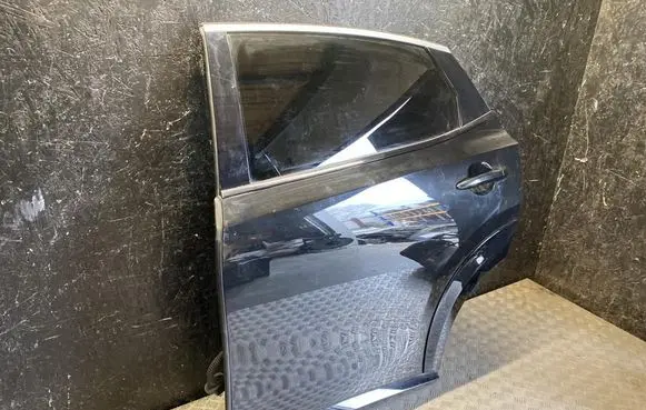 Nissan Ariya Rear door