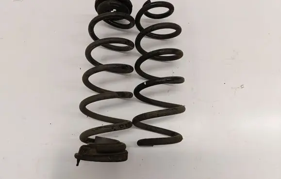 Rear coil spring