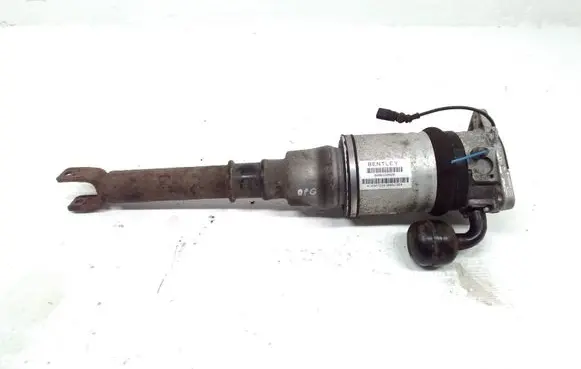Bentley Continental Shock absorber/damper/air suspension 3W0616002B