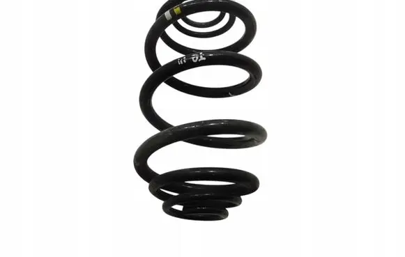 Rear coil spring