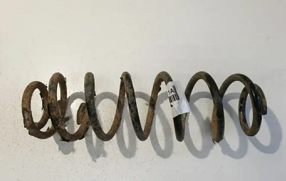 Rear coil spring