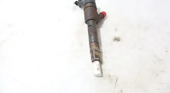Renault Megane III Fuel injector