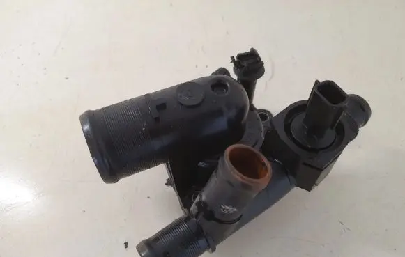 Thermostat/thermostat housing