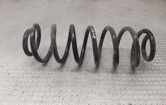 Rear coil spring