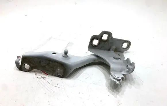 Renault Trafic III (X82) Engine bonnet/hood hinges 654003204R