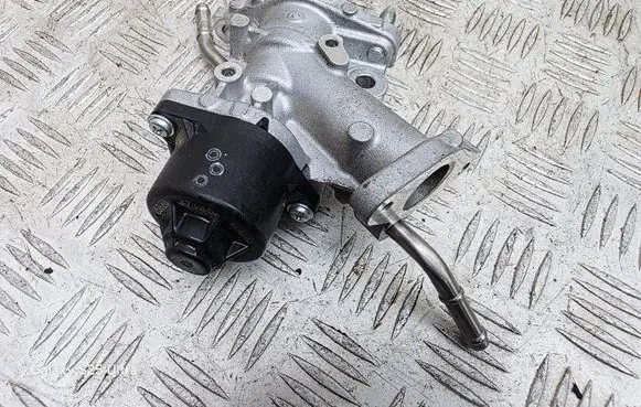 EGR valve