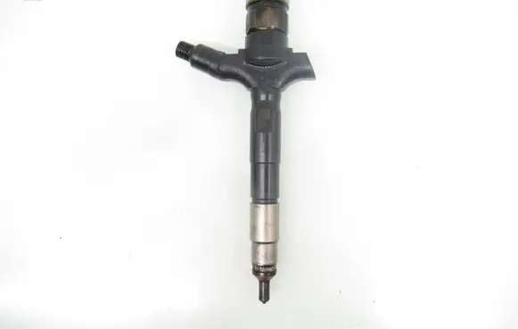 Opel Vectra C Fuel injector 0800