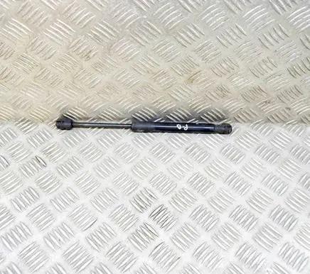 Front bonnet/hood damper/strut