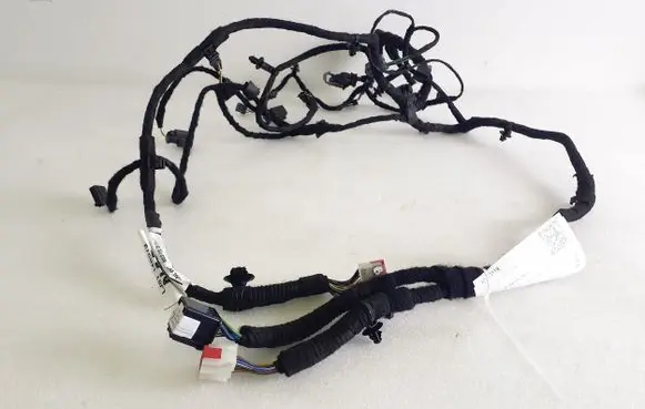 Ford Mustang Mach-E Panel wiring LJ8T14B079 E14171008000 LJ8T14B079D