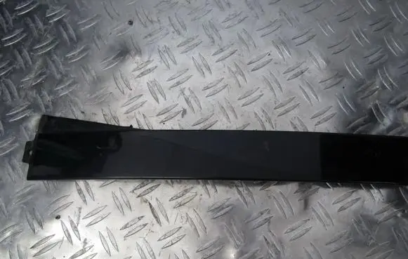 Other rear door trim element