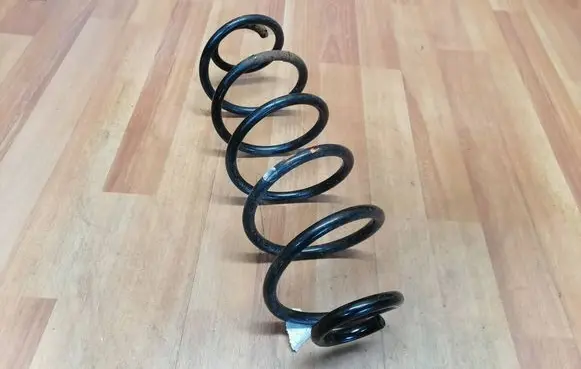 Rear coil spring