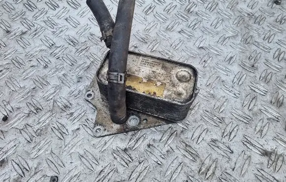 Opel Zafira B Engine oil radiator 5989070231