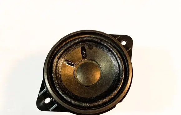 Panel speaker