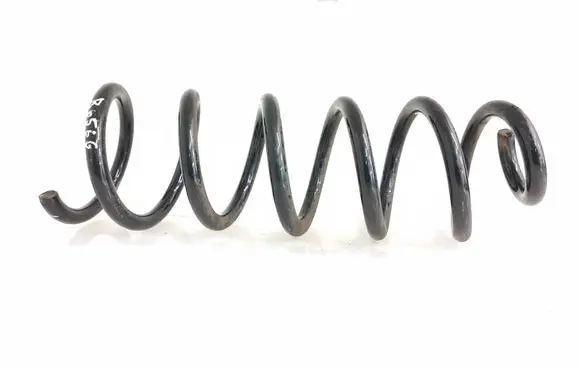 Rear coil spring