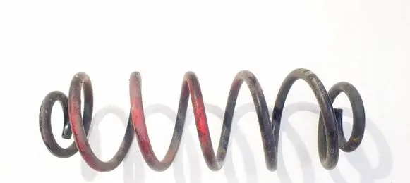 Rear coil spring