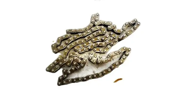 Subaru Outback Timing chain (engine) 