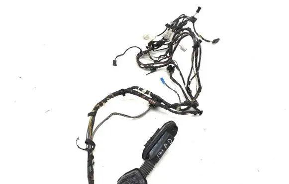 BMW X3 F25 Front door wiring loom 9243655