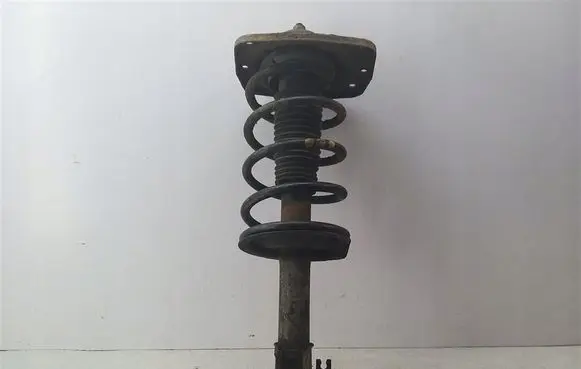 Citroen Jumpy Front shock absorber with coil spring