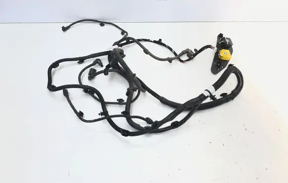 Peugeot 3008 III Wiring harness 9842054080
