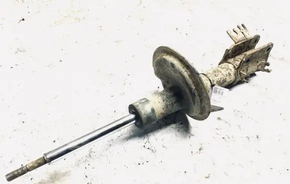 Citroen C8 Front shock absorber/damper