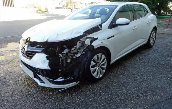 Renault Megane IV Front door