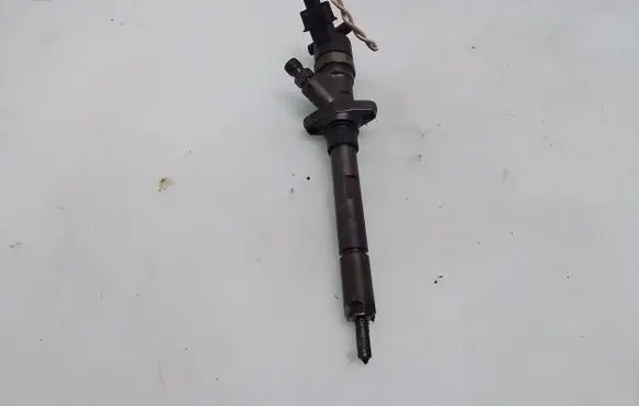 Peugeot 607 Fuel injector 0445110036