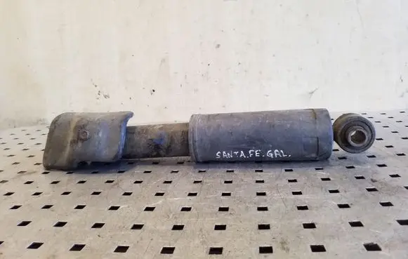 Hyundai Santa Fe Rear shock absorber/damper