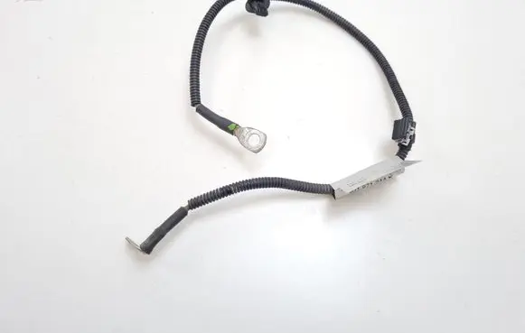 Porsche Taycan 9J1 Other wiring loom 9J1971244K