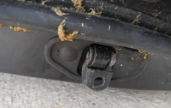 Opel Insignia A Rear door check strap stopper