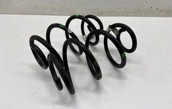 Rear coil spring