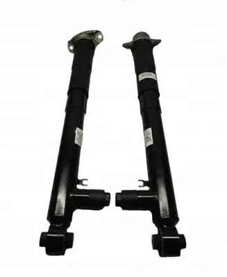 Volkswagen Golf VIII Rear shock absorber/damper 5WA512009H