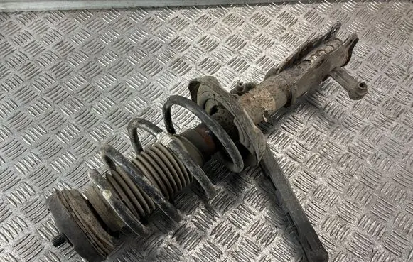 Opel Insignia A Front shock absorber with coil spring