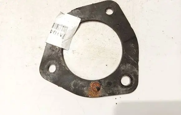 Coil spring mount