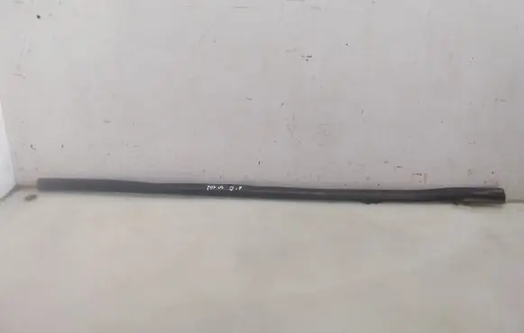 Ford Focus Front door glass trim molding