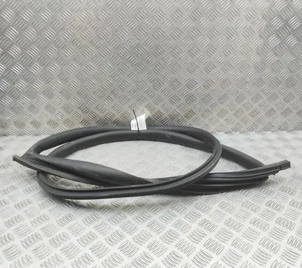 Tesla Model 3 Highland Rubber seal rear door 191098501A