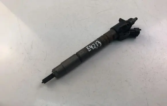 Volvo V70 Fuel injector 31303238