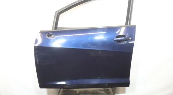 Seat Ibiza IV (6J,6P) Front door