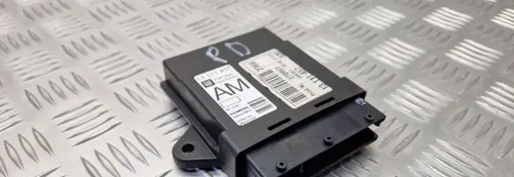 Opel Vectra C Door control unit/module 13111457
