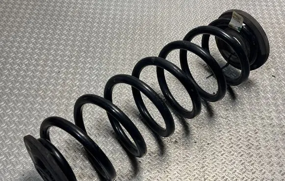 Rear coil spring