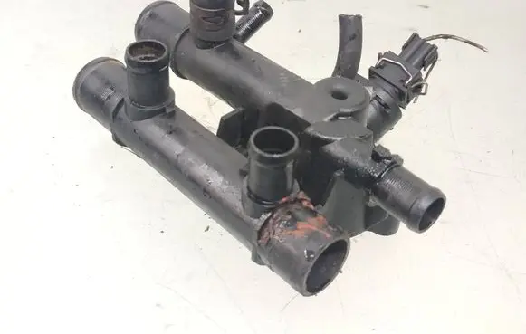Thermostat/thermostat housing