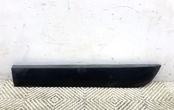 Rear door trim (molding)