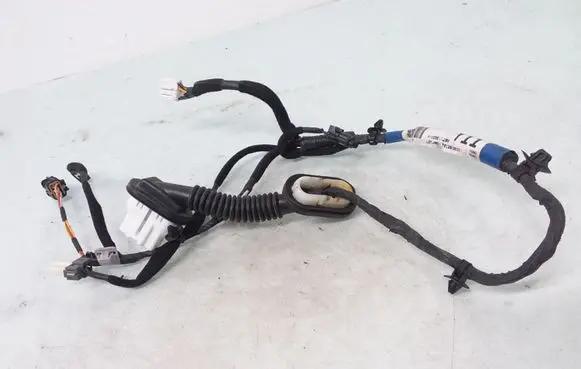 KIA Sorento Rear door wiring loom 918203E011