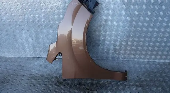 Ford B-MAX Fender BMAXBLOTPP