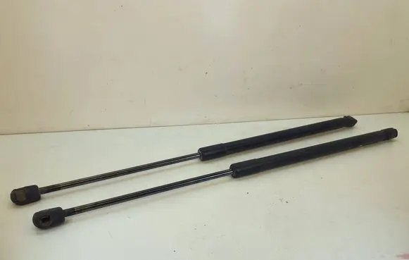 Tailgate/trunk strut/damper