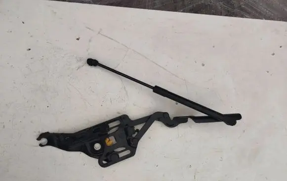 BMW X6 E71 Front door hinge set 7148347