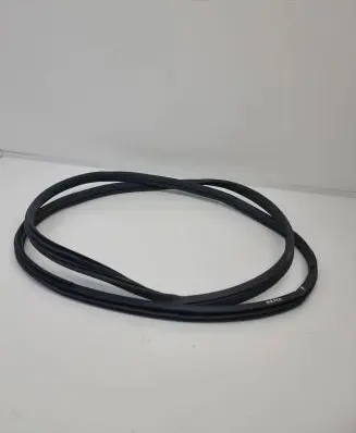 Nissan Ariya Front door rubber seal 