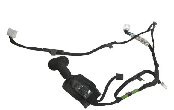 Rear door wiring loom