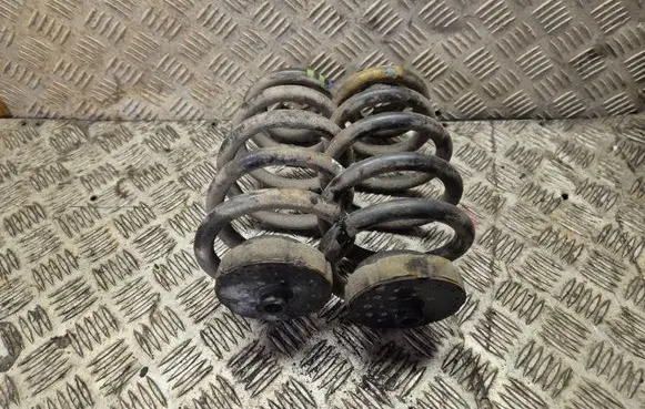Audi A4 S4 B7 8E 8H Rear coil spring 