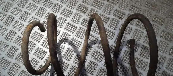 Rear coil spring