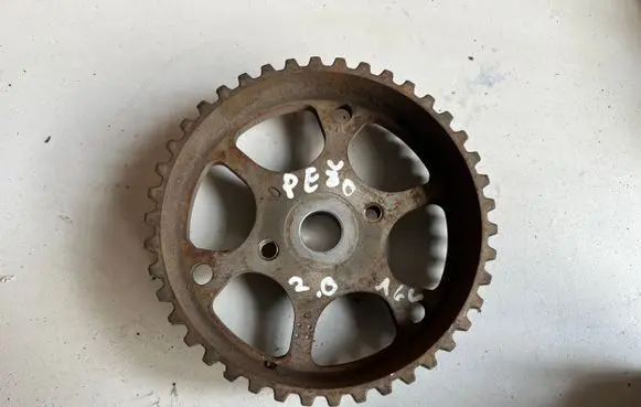 Citroen C5 Fuel pump gear (pulley) 